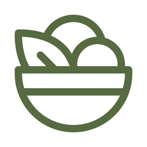 Alimentation & hygiène de vie