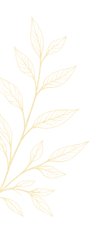 Médecine Ayurveda Lausanne