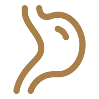 Picto - Digestion